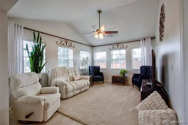 29845 County Road 353 Buena Vista, CO 81211