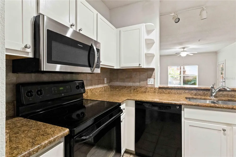 4207 S DALE MABRY HIGHWAY #1104 Tampa, FL 33611