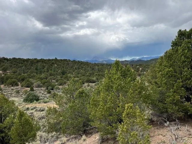 Lot 7840 Richard Road Fort Garland, CO 81133