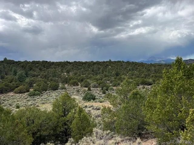 Lot 7840 Richard Road Fort Garland, CO 81133