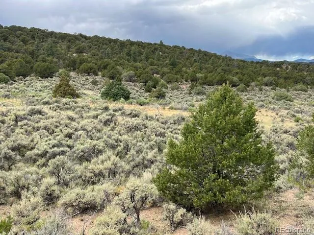 Lot 7840 Richard Road Fort Garland, CO 81133