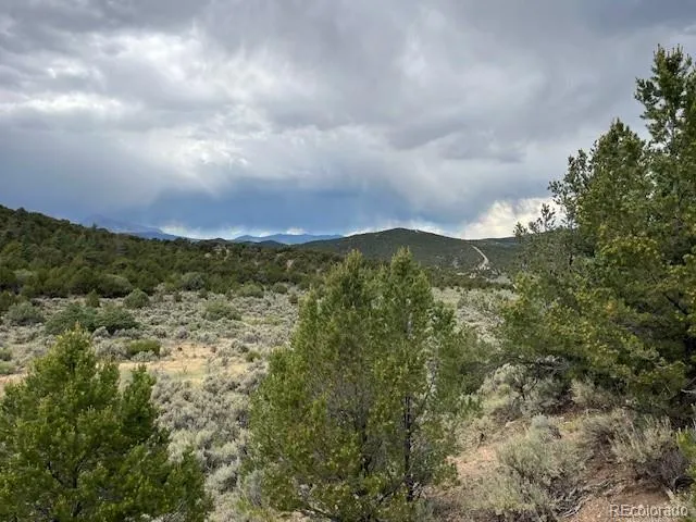 Lot 7840 Richard Road Fort Garland, CO 81133