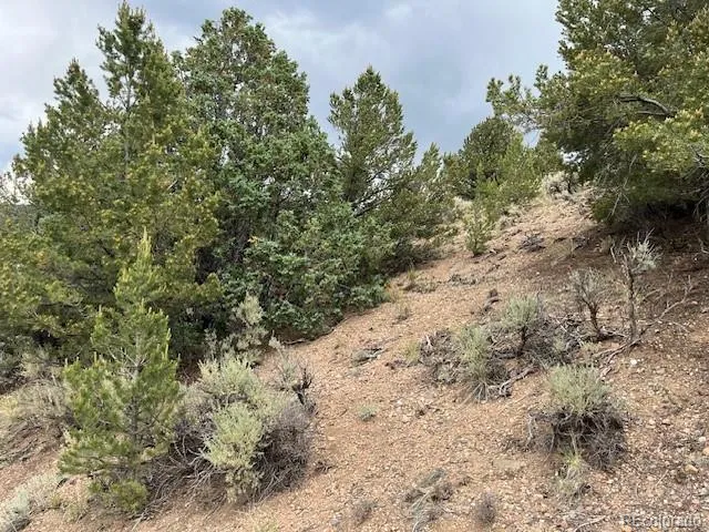 Lot 7840 Richard Road Fort Garland, CO 81133