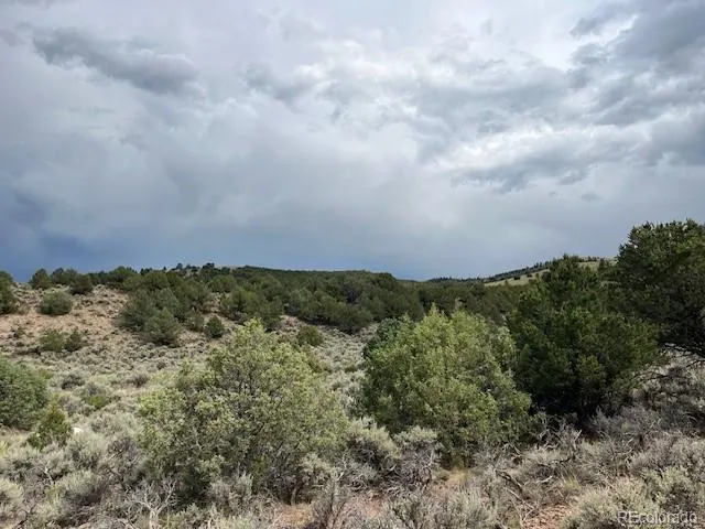 Lot 7840 Richard Road Fort Garland, CO 81133