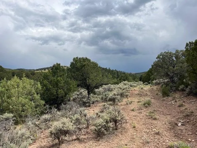 Lot 7840 Richard Road Fort Garland, CO 81133