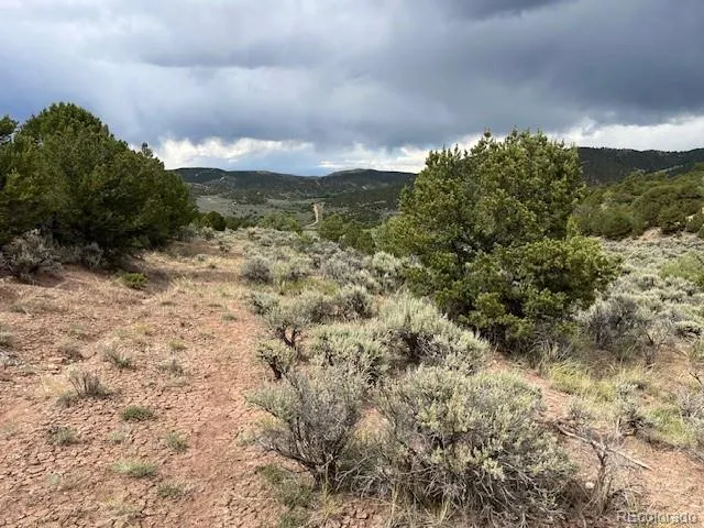 Lot 7840 Richard Road Fort Garland, CO 81133