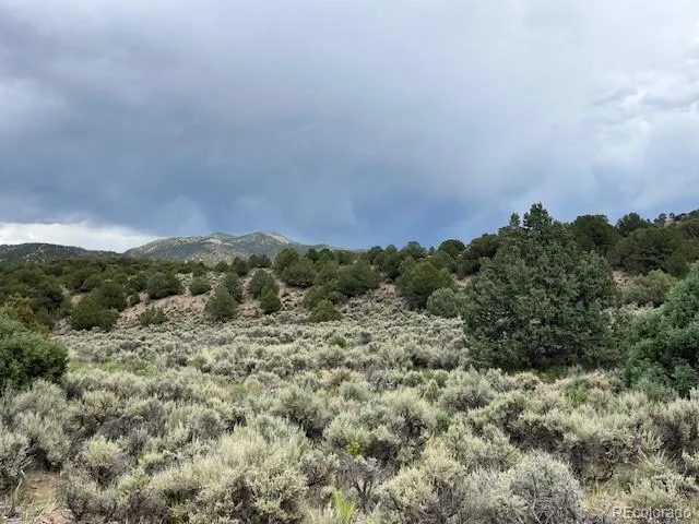 Lot 7840 Richard Road Fort Garland, CO 81133