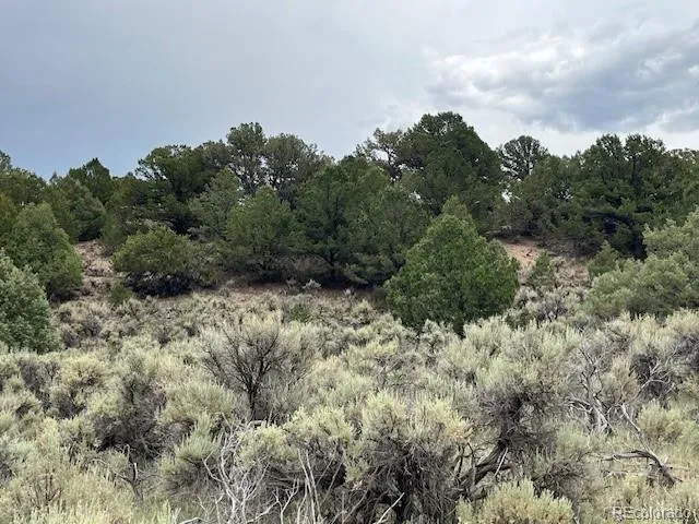Lot 7840 Richard Road Fort Garland, CO 81133