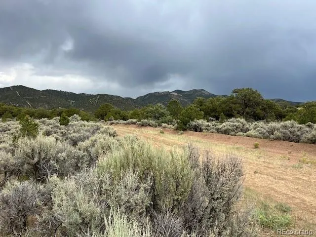 Lot 7840 Richard Road Fort Garland, CO 81133