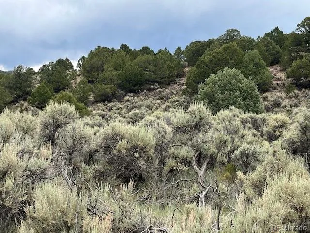 Lot 7840 Richard Road Fort Garland, CO 81133