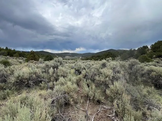 Lot 7840 Richard Road Fort Garland, CO 81133
