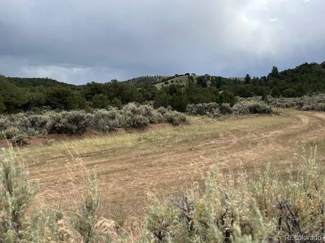 Lot 7840 Richard Road Fort Garland, CO 81133