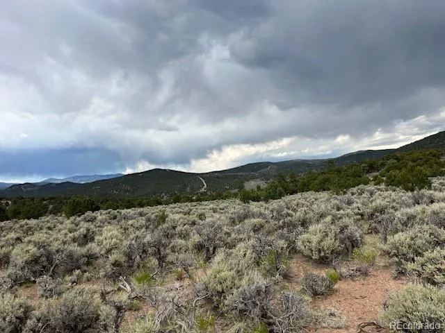Lot 7840 Richard Road Fort Garland, CO 81133