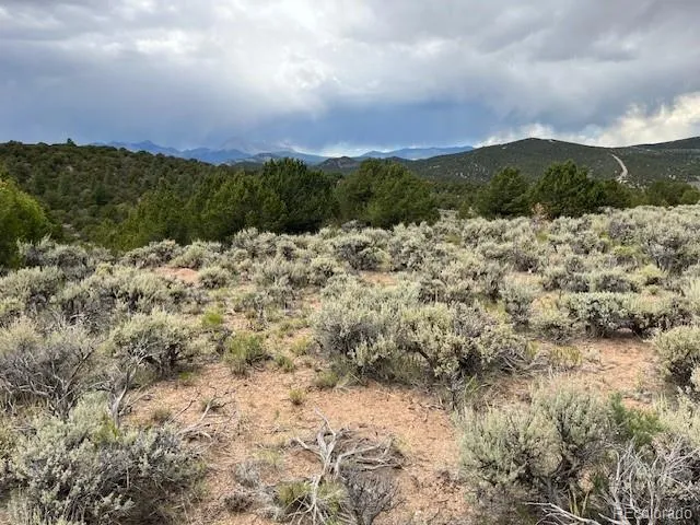 Lot 7840 Richard Road Fort Garland, CO 81133