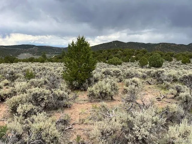 Lot 7840 Richard Road Fort Garland, CO 81133