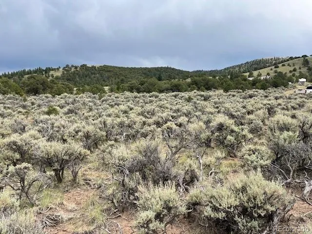 Lot 7840 Richard Road Fort Garland, CO 81133