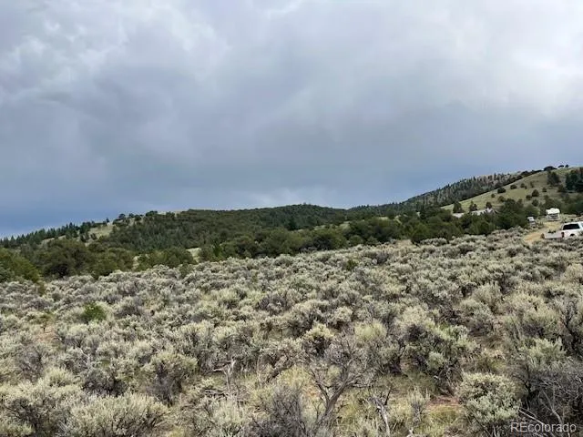 Lot 7840 Richard Road Fort Garland, CO 81133