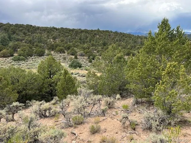 Lot 7840 Richard Road Fort Garland, CO 81133