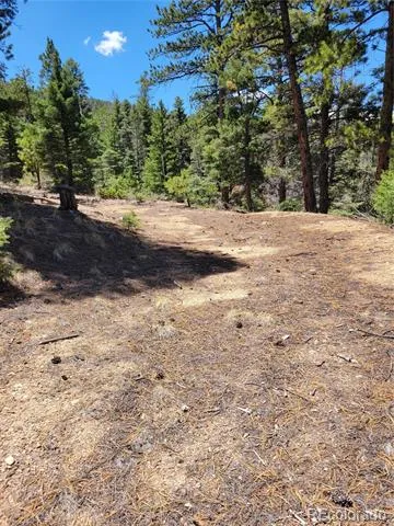 Lots 2716 & 2717 Sesame Road Fort Garland, CO 81133