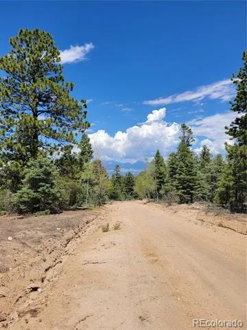 Lots 2716 & 2717 Sesame Road Fort Garland, CO 81133