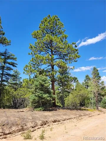 Lots 2716 & 2717 Sesame Road Fort Garland, CO 81133