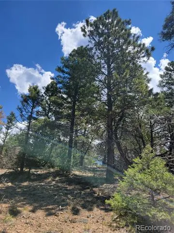 Lots 2716 & 2717 Sesame Road Fort Garland, CO 81133