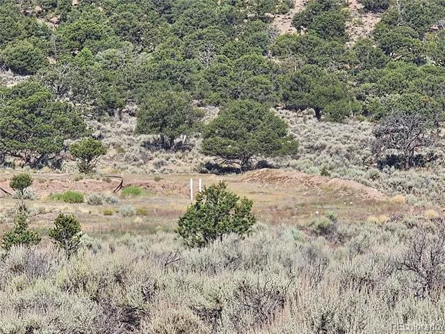 3277 Talmage Road Fort Garland, CO 81133