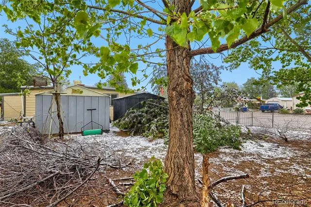 329 Glen Creighton Drive Dacono, CO 80514