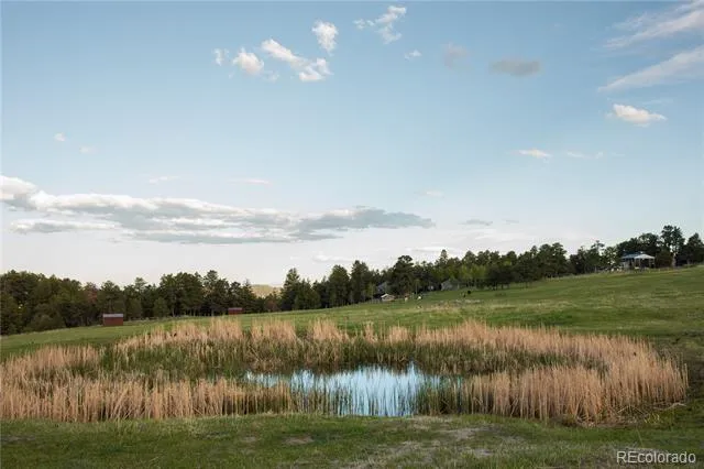 5276 Bear Mountain Drive Evergreen, CO 80439