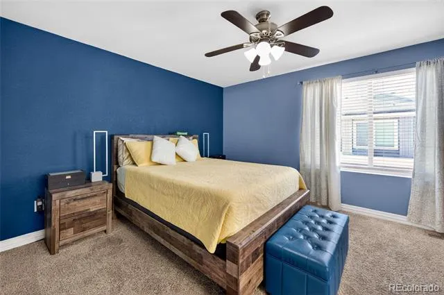 18619 E 50th Place Denver, CO 80249