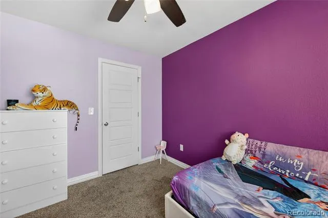 18619 E 50th Place Denver, CO 80249