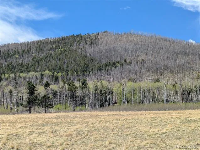 2084 Forbes Park Road Fort Garland, CO 81133
