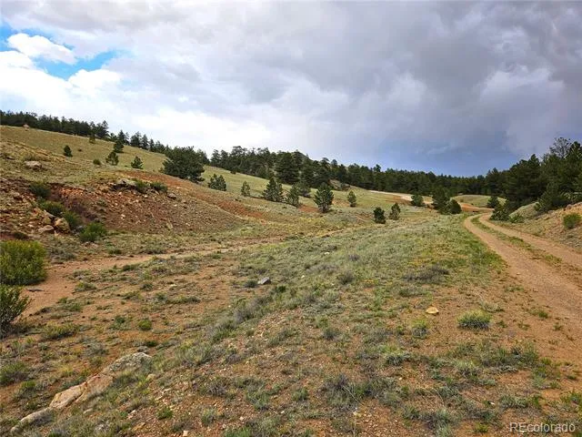 Fernando Trail Hartsel, CO 80449