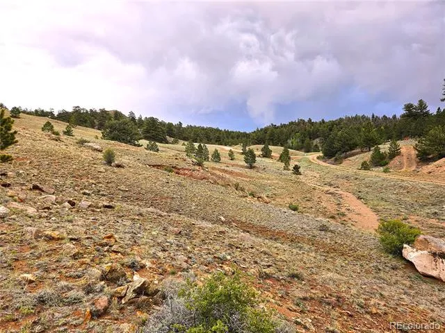 Fernando Trail Hartsel, CO 80449