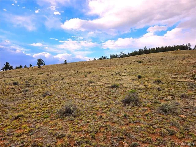 Fernando Trail Hartsel, CO 80449