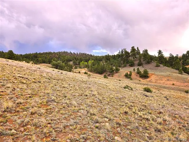 Fernando Trail Hartsel, CO 80449