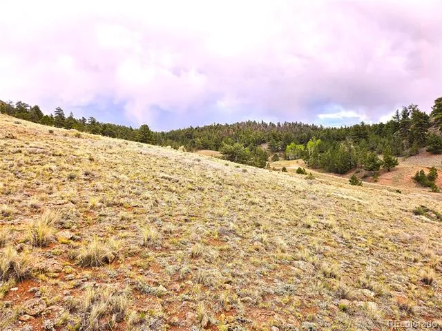 Fernando Trail Hartsel, CO 80449