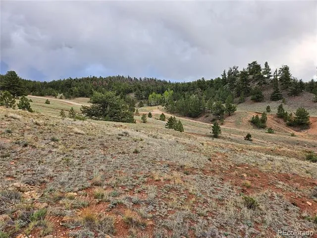 Fernando Trail Hartsel, CO 80449