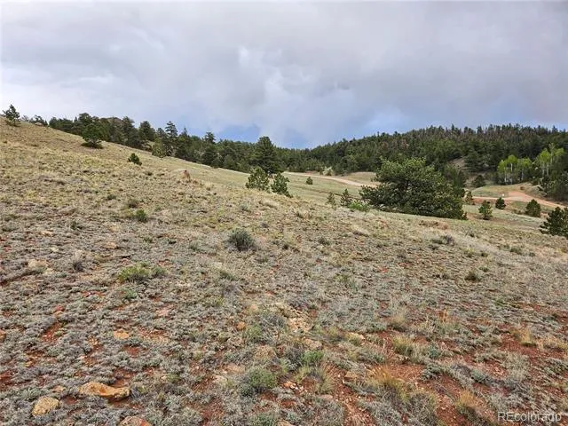 Fernando Trail Hartsel, CO 80449