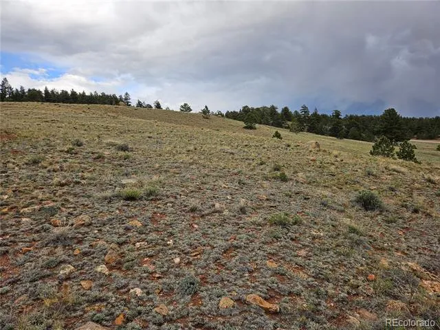 Fernando Trail Hartsel, CO 80449