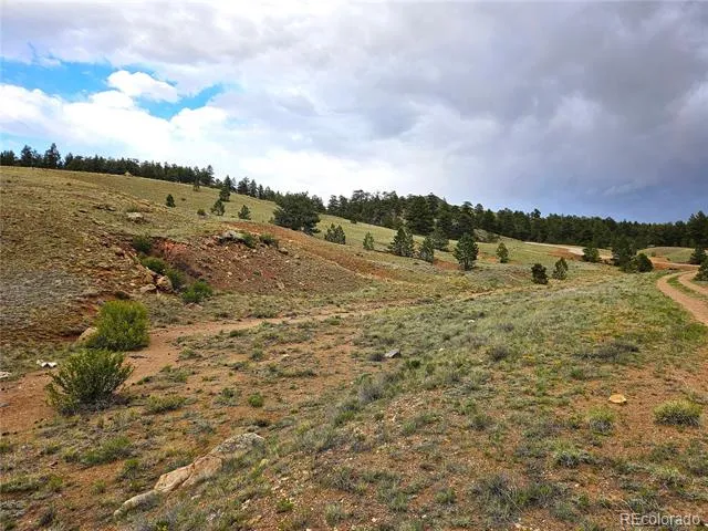 Fernando Trail Hartsel, CO 80449