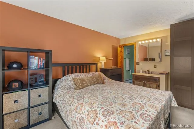 304 Ryan Gulch Court #B102 Silverthorne, CO 80498