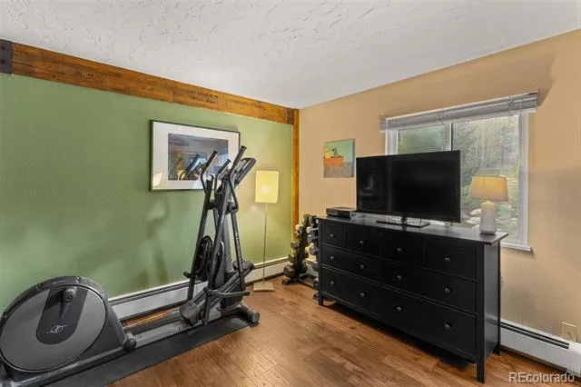 304 Ryan Gulch Court #B102 Silverthorne, CO 80498