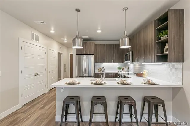 20 Wilcox Street #519 Castle Rock, CO 80104