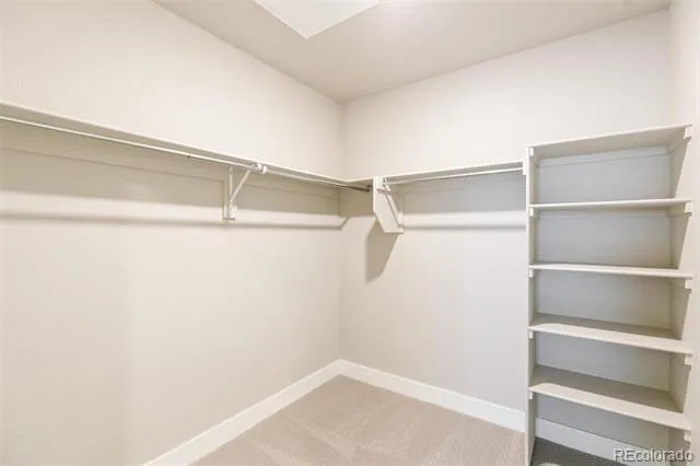 20 Wilcox Street #519 Castle Rock, CO 80104