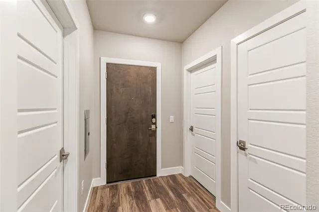 20 Wilcox Street #519 Castle Rock, CO 80104