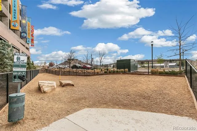 20 Wilcox Street #519 Castle Rock, CO 80104
