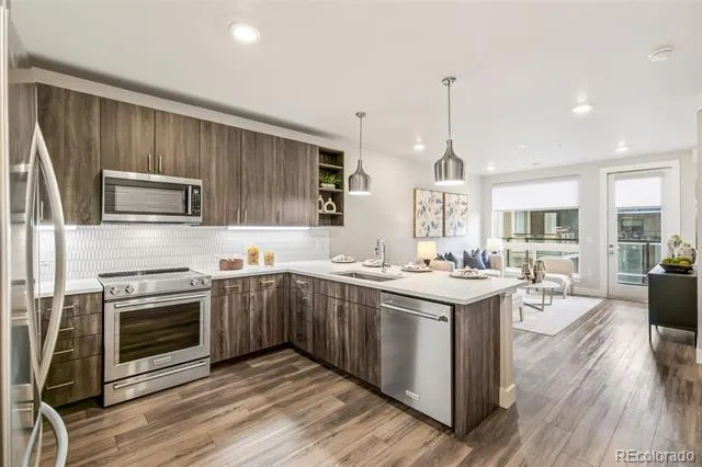 20 Wilcox Street #519 Castle Rock, CO 80104