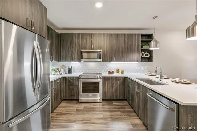 20 Wilcox Street #519 Castle Rock, CO 80104