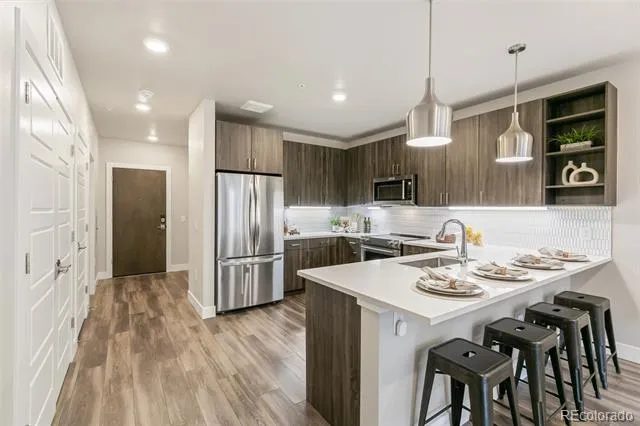 20 Wilcox Street #519 Castle Rock, CO 80104